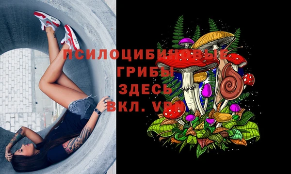 молекула духа Куйбышев