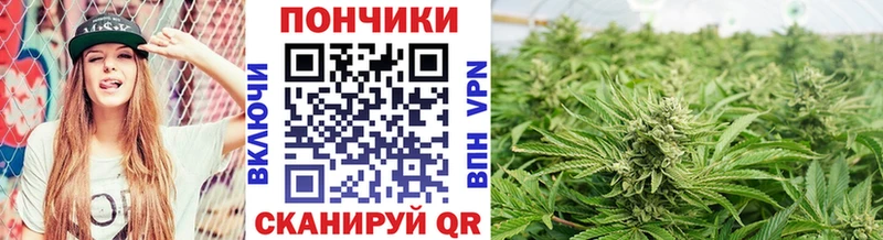 Каннабис MAZAR Москва